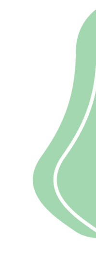 adorno